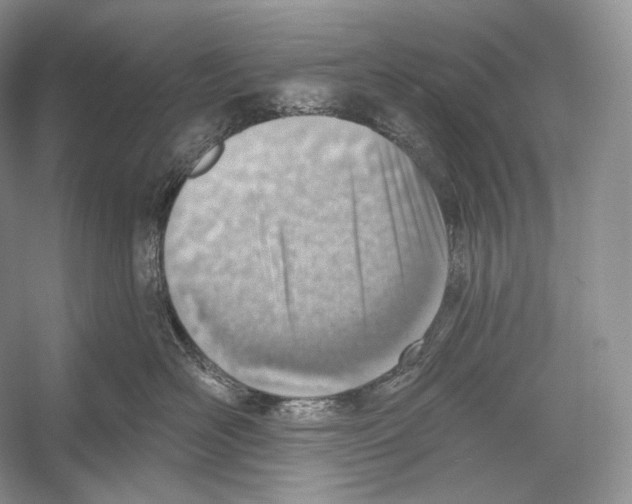 X0000052930526200508050833