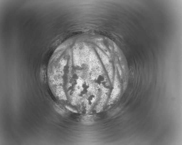 X0000052930527200508050833