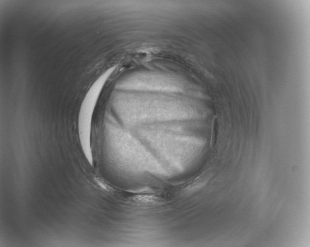 X0000052930528200508050833