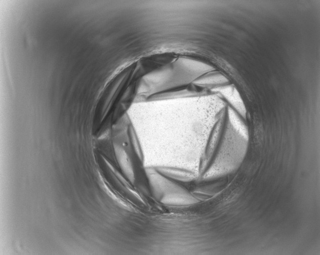X0000052930530200508050832