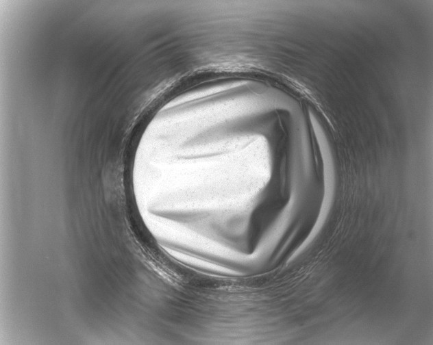 X0000052930535200508050832
