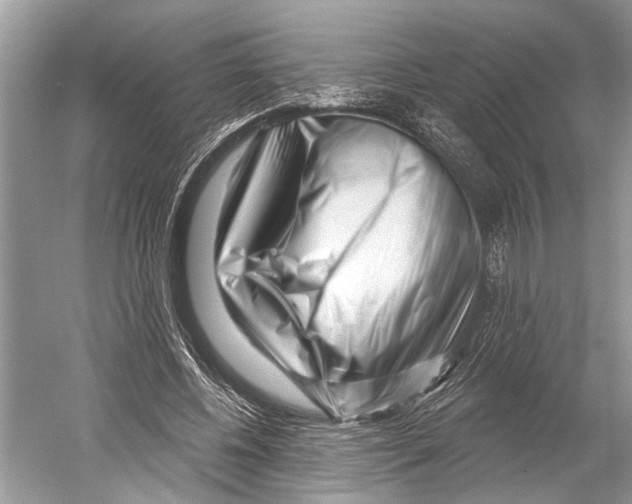 X0000052930540200508050832