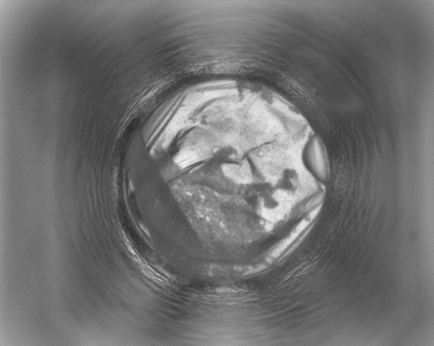 X0000052930542200508050832