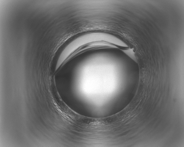 X0000052930544200508050832