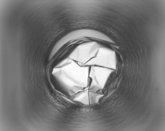 X0000052930546200508050832