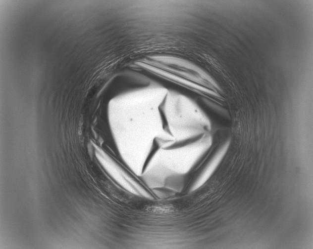 X0000052930548200508050832