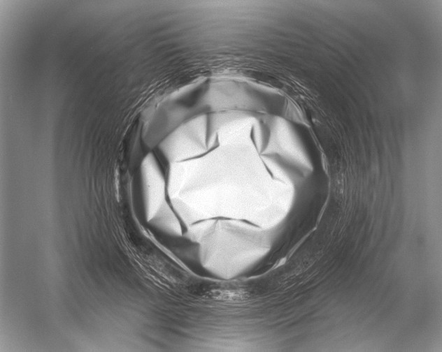 X0000052930552200508050832