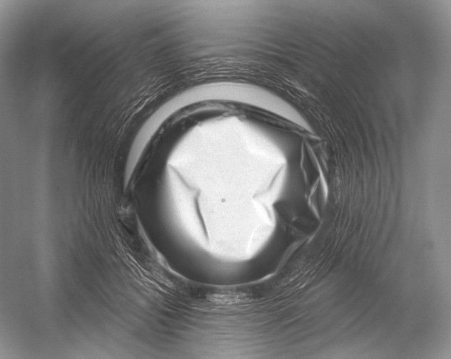 X0000052930556200508050832