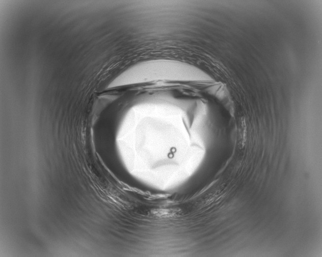 X0000052930558200508050832