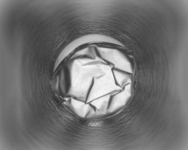 X0000052930560200508050832
