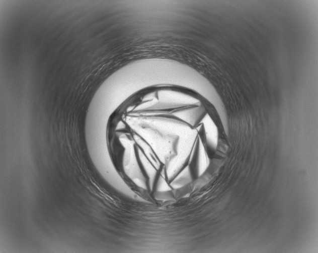 X0000052930562200508050832