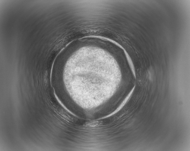 X0000052930563200508050832