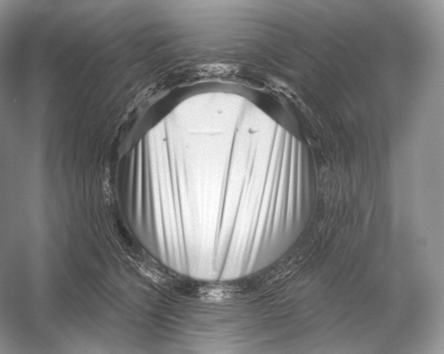 X0000052930564200508050832