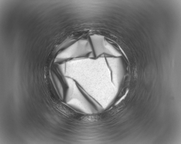 X0000052930567200508050832