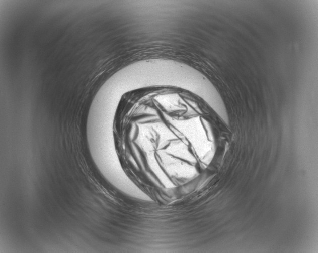X0000052930568200508050832