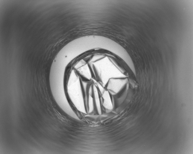 X0000052930570200508050832