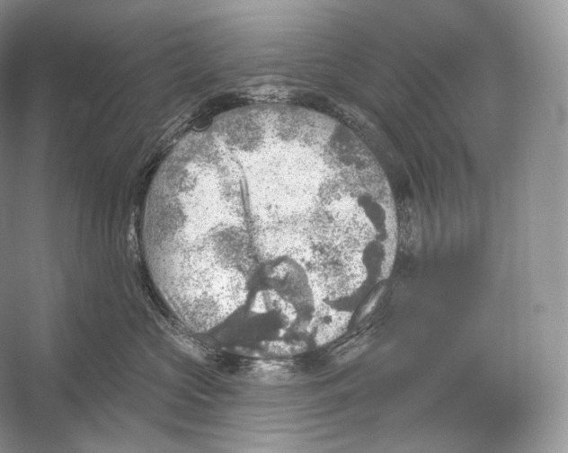 X0000052930573200508050833