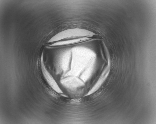 X0000052930574200508050833