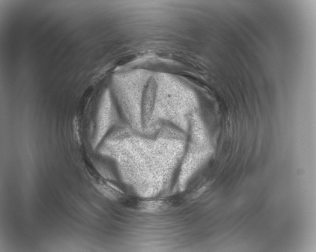 X0000052930575200508050833