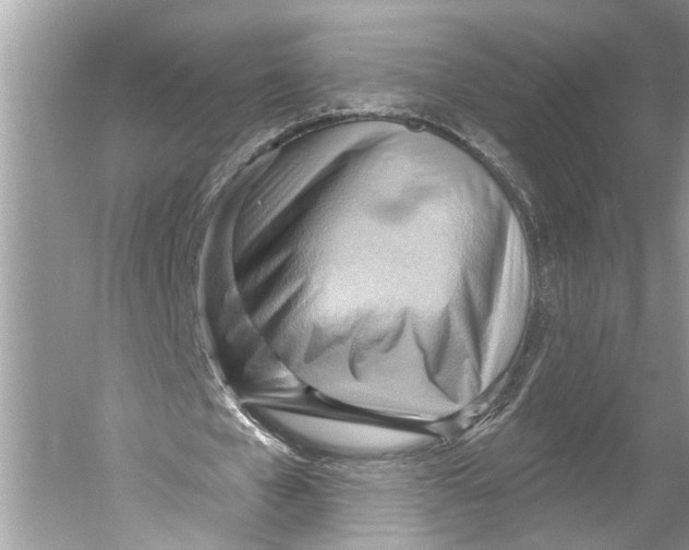 X0000052930577200508050832