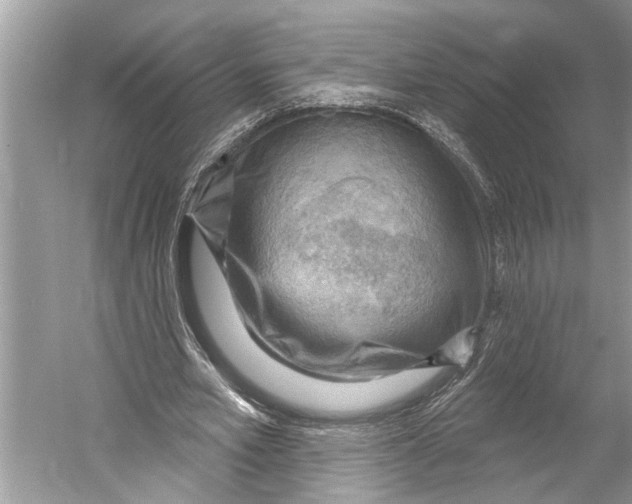 X0000052930581200508050832