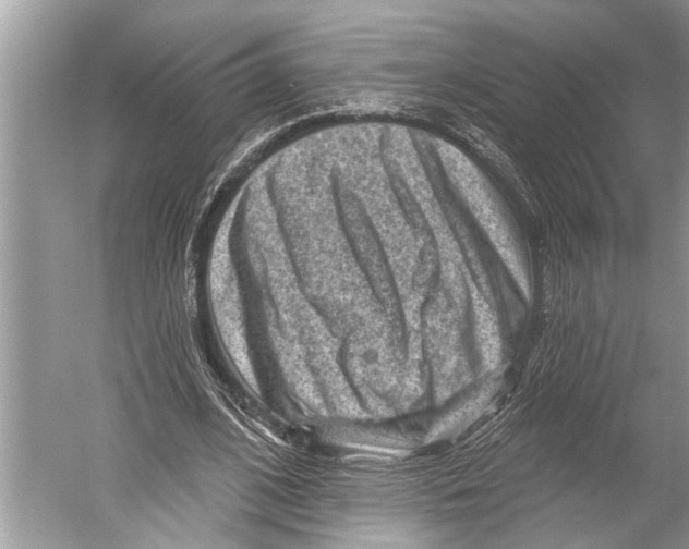 X0000052930584200508050832