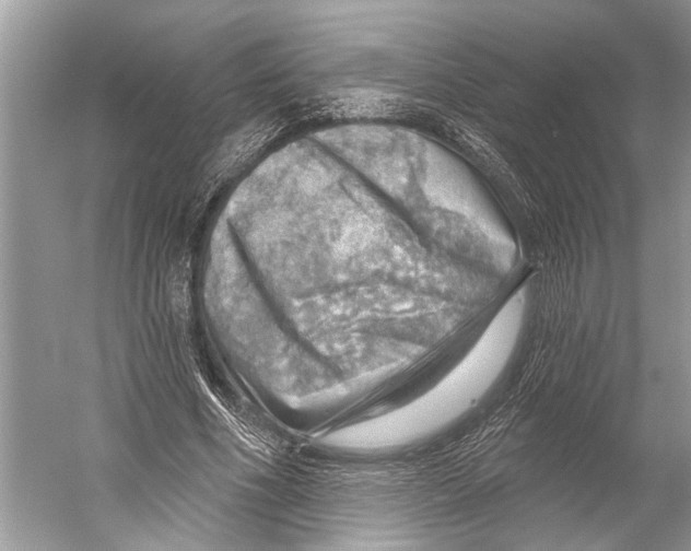 X0000052930586200508050832