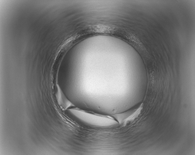 X0000052930587200508050832