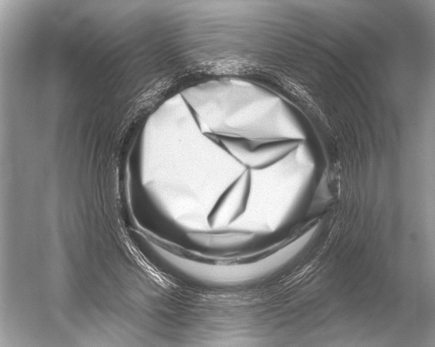 X0000052930589200508050832