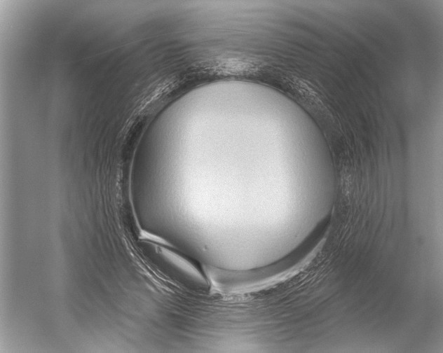 X0000052930591200508050832