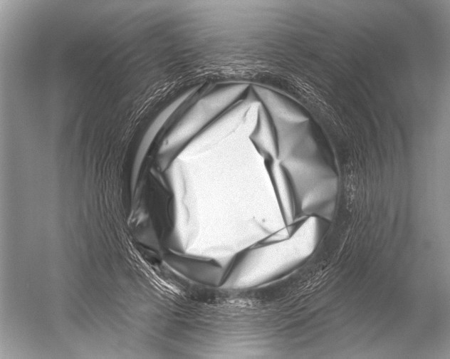 X0000052930593200508050831