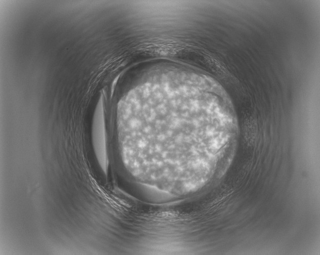 X0000052930594200508050831