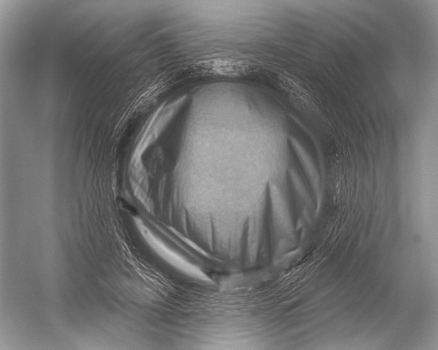 X0000052930595200508050831