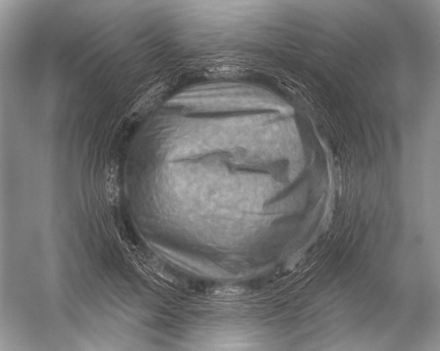X0000052930599200508050831