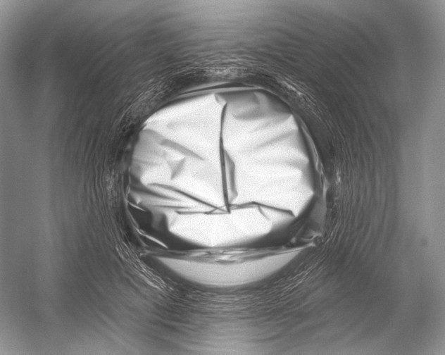 X0000052930601200508050831