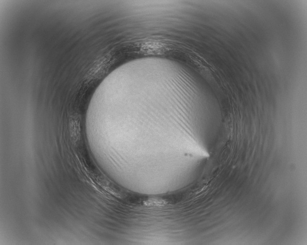 X0000052930603200508050831
