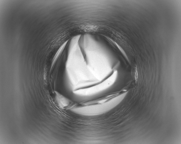 X0000052930604200508050831