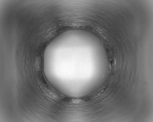 X0000052930605200508050831