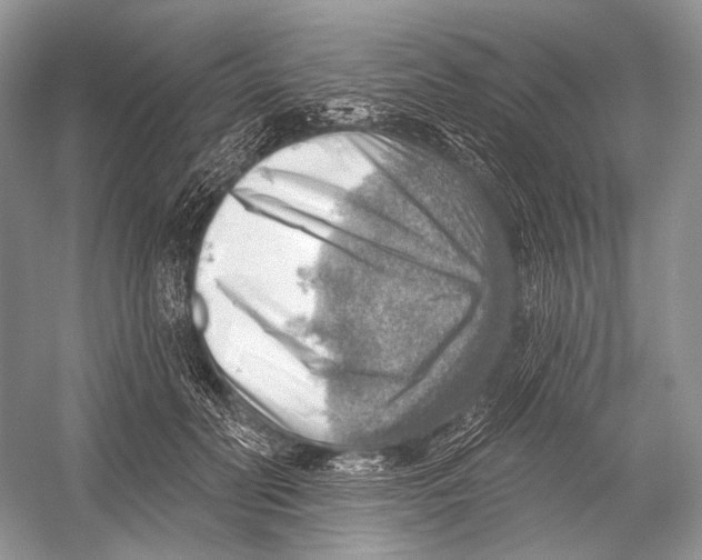 X0000052930606200508050831