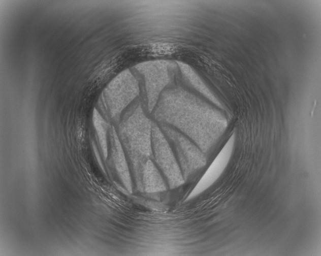 X0000052930608200508050831