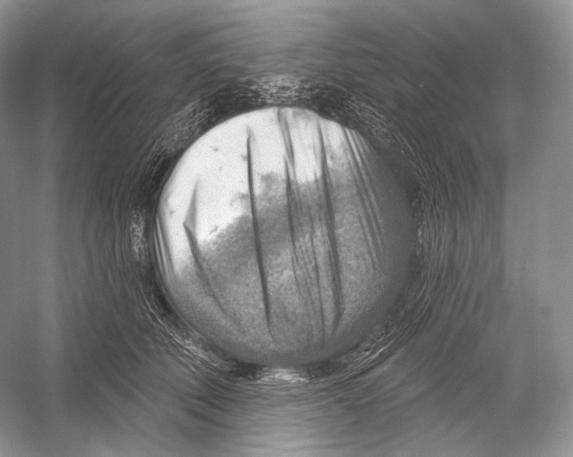 X0000052930610200508050831