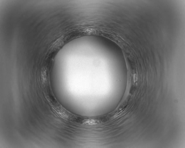 X0000052930611200508050831