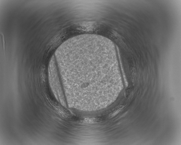 X0000052930612200508050831