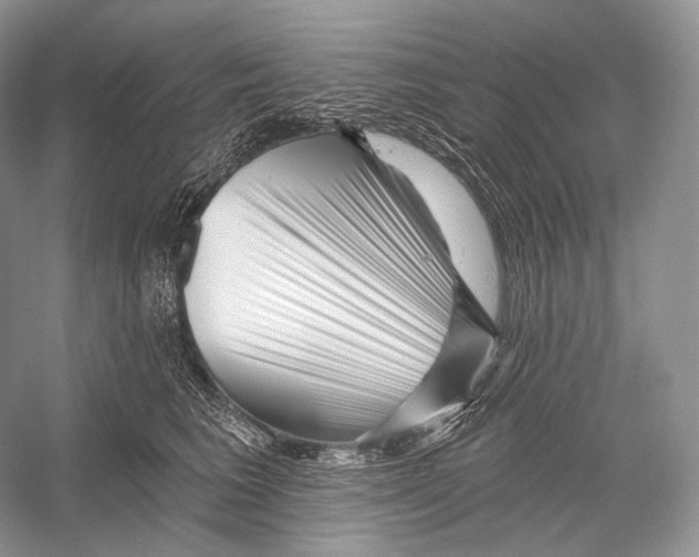 X0000052930613200508050831