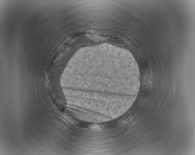 X0000052930616200508050831