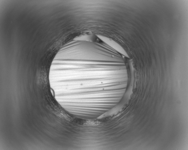 X0000052930617200508050831