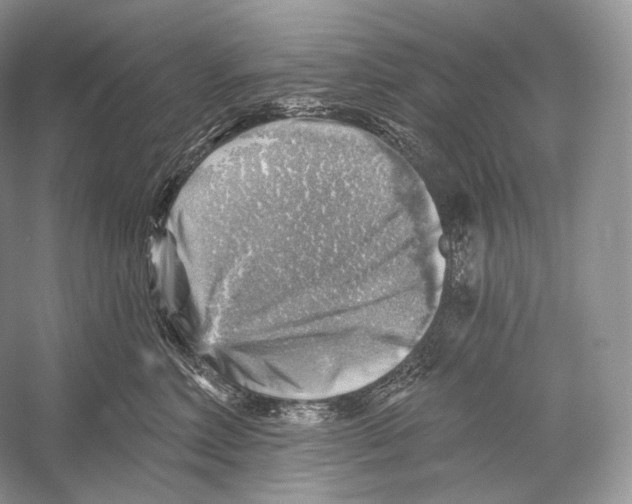 X0000052930618200508050831