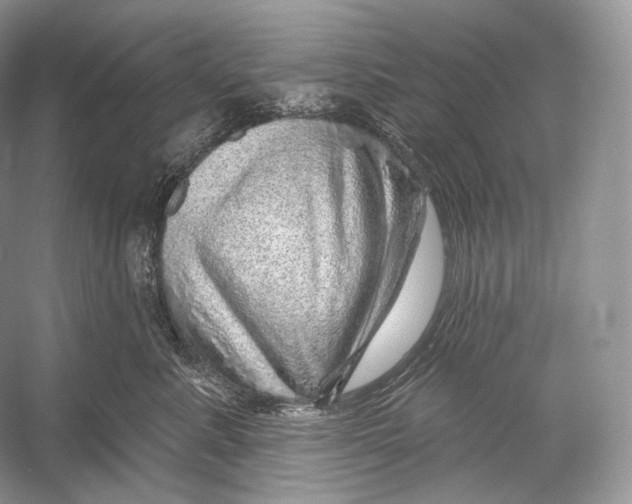 X0000052930619200508050831