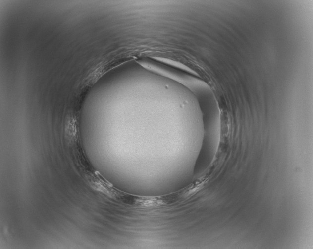 X0000052930621200508050831
