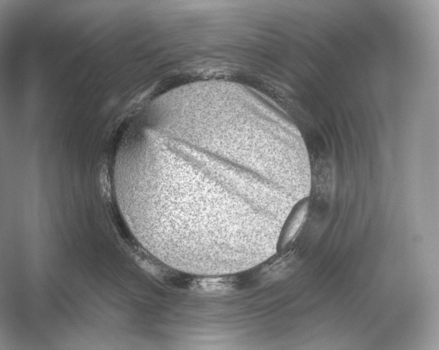 X0000052930622200508050831